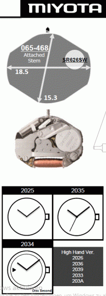 Citizen 2034